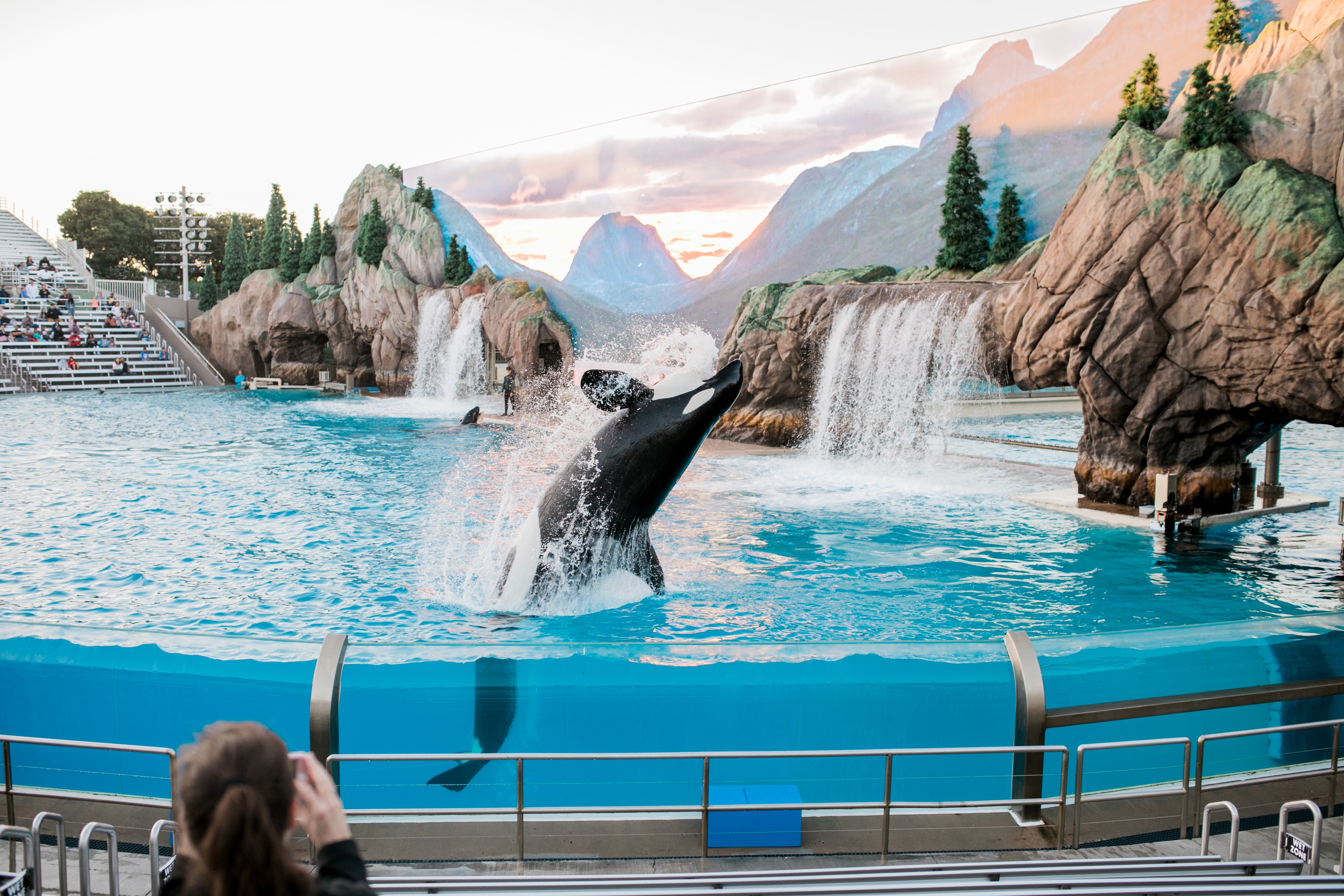 8 Tips For Visiting Sea World
