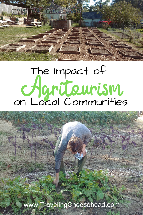 The Impact of Agritourism on Local Communities Cover Image