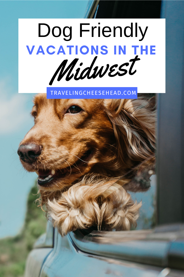 Dog Friendly Vacations in the Midwest