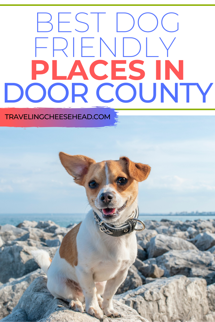 Best Dog Friendly Places In Door County