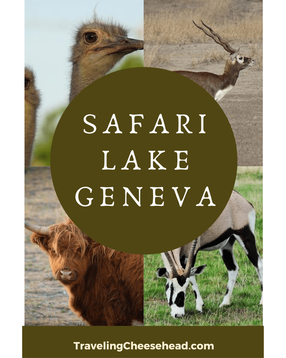Experience "Jungle Jay's" Safari Lake Geneva Traveling Cheesehead