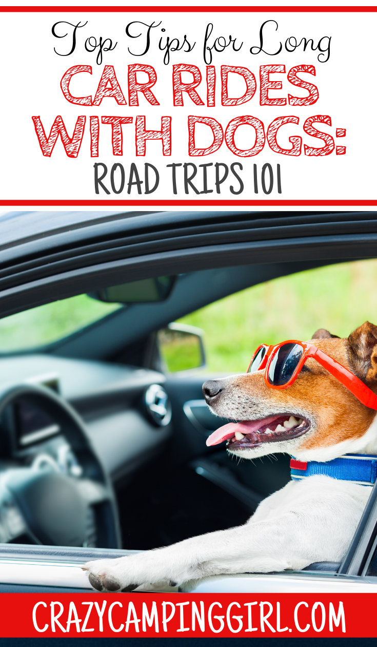 Top Tips for Long Car Rides With Dogs Road Trips 101 Traveling