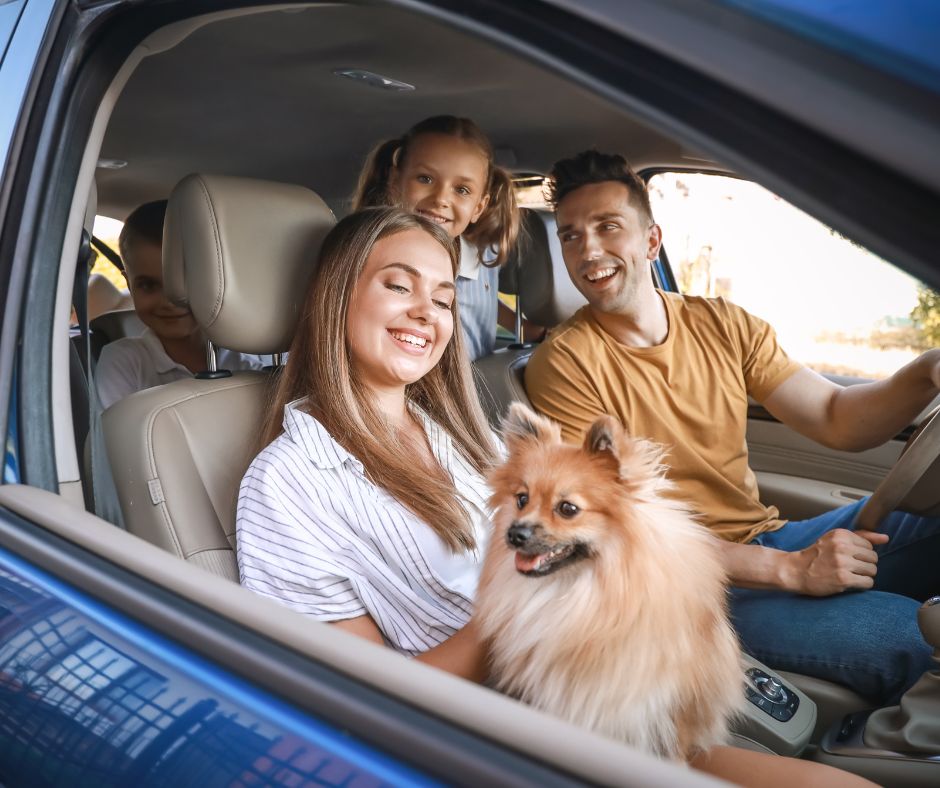family traveling with their dog in a car