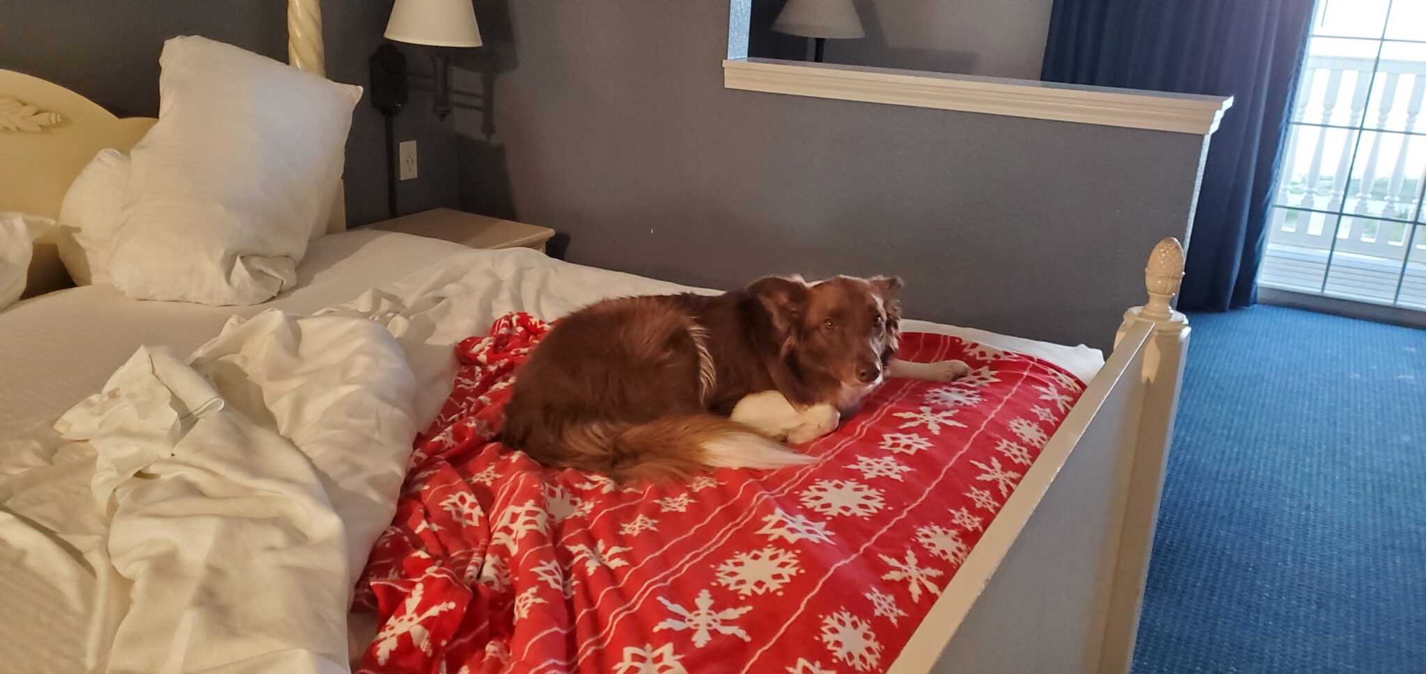 Sheboygan Wisconsin is a Certified Dog Friendly Destination Traveling