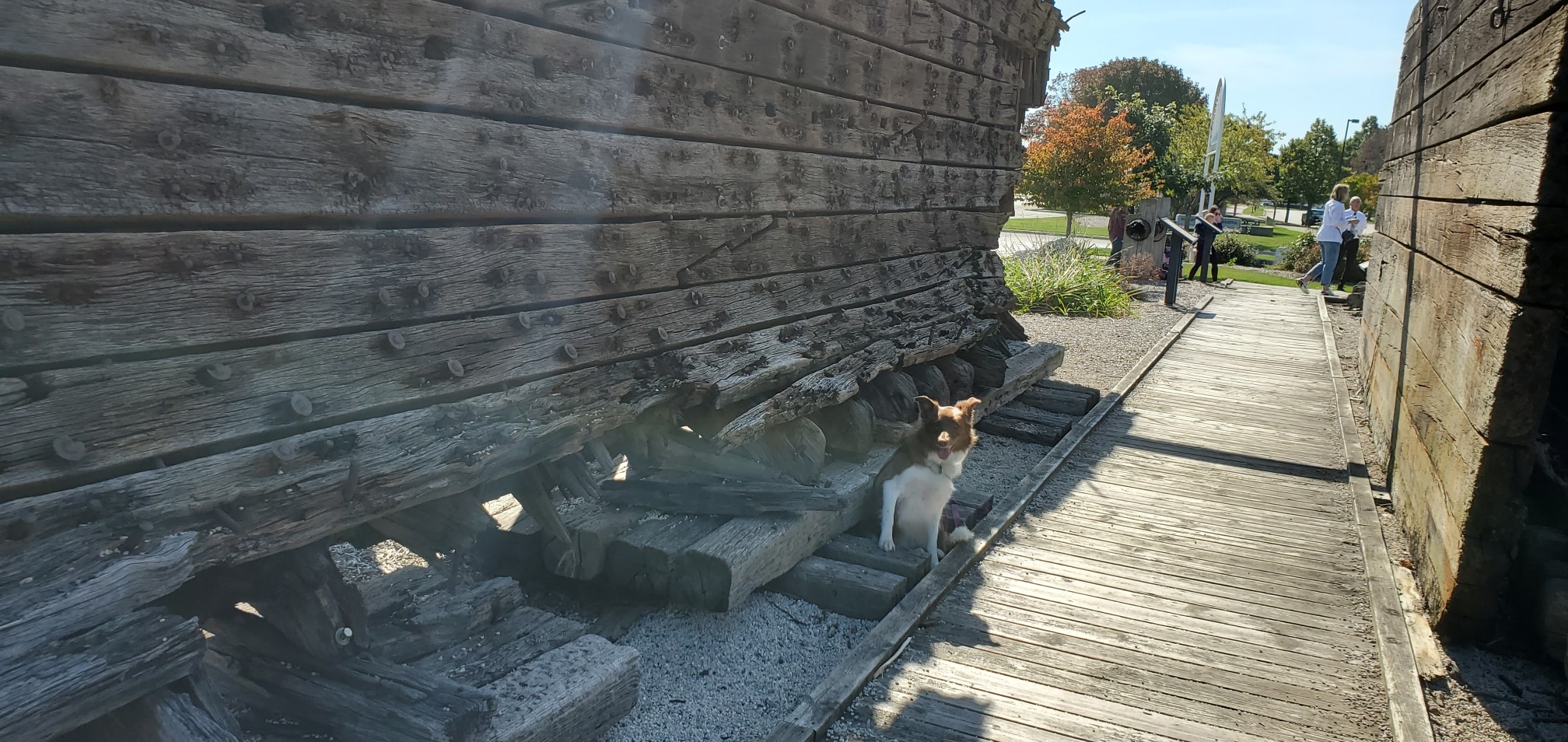 Sheboygan Wisconsin is a Certified Dog Friendly Destination Traveling