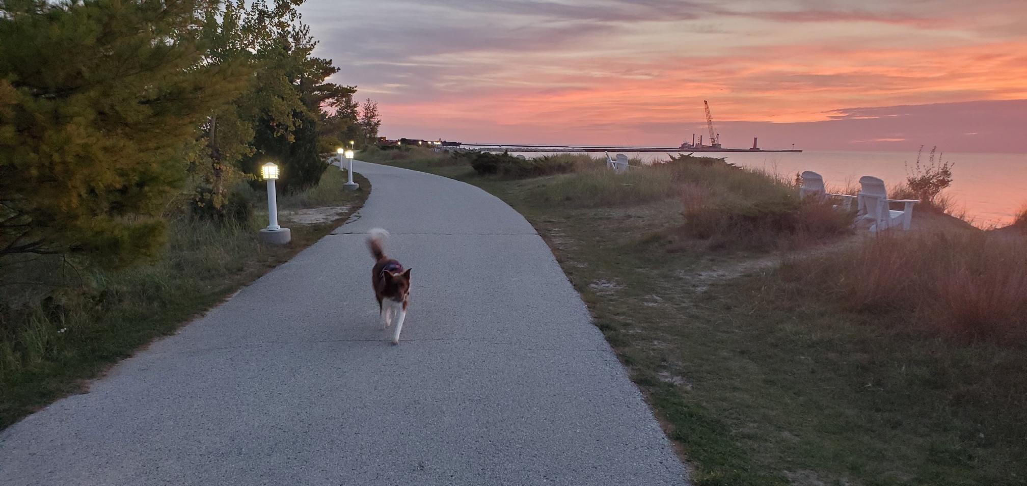 Sheboygan Wisconsin is a Certified Dog Friendly Destination Traveling