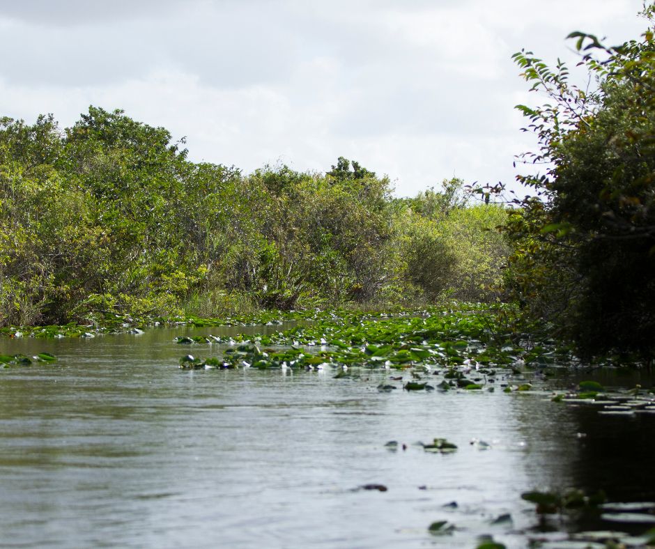 Everglades Safari Park