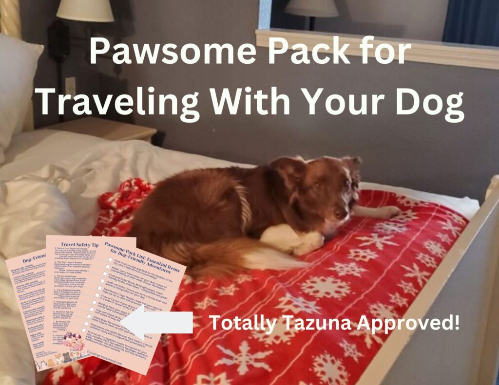 Pawsome Pack for Traveling With Your Dog