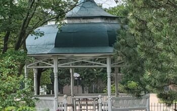 Seelye Mansion Gardens