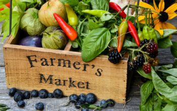 Best Wisconsin Farmers Markets Featured Image