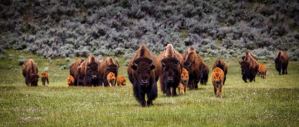 10 Best Places to Take Kids in Wyoming Hot springs State Park