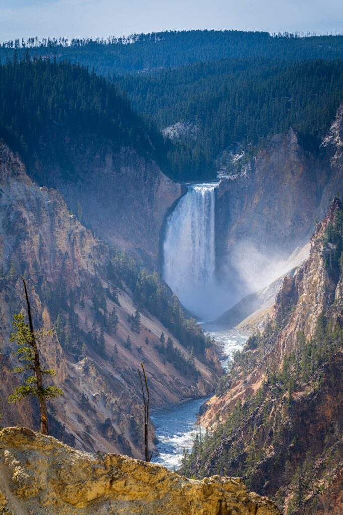 10 Best Places to Take Kids in Wyoming Yellowstone National Park