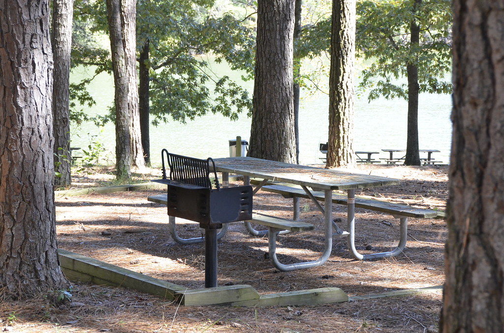 State Parks Near Wisconsin Dells picnic area