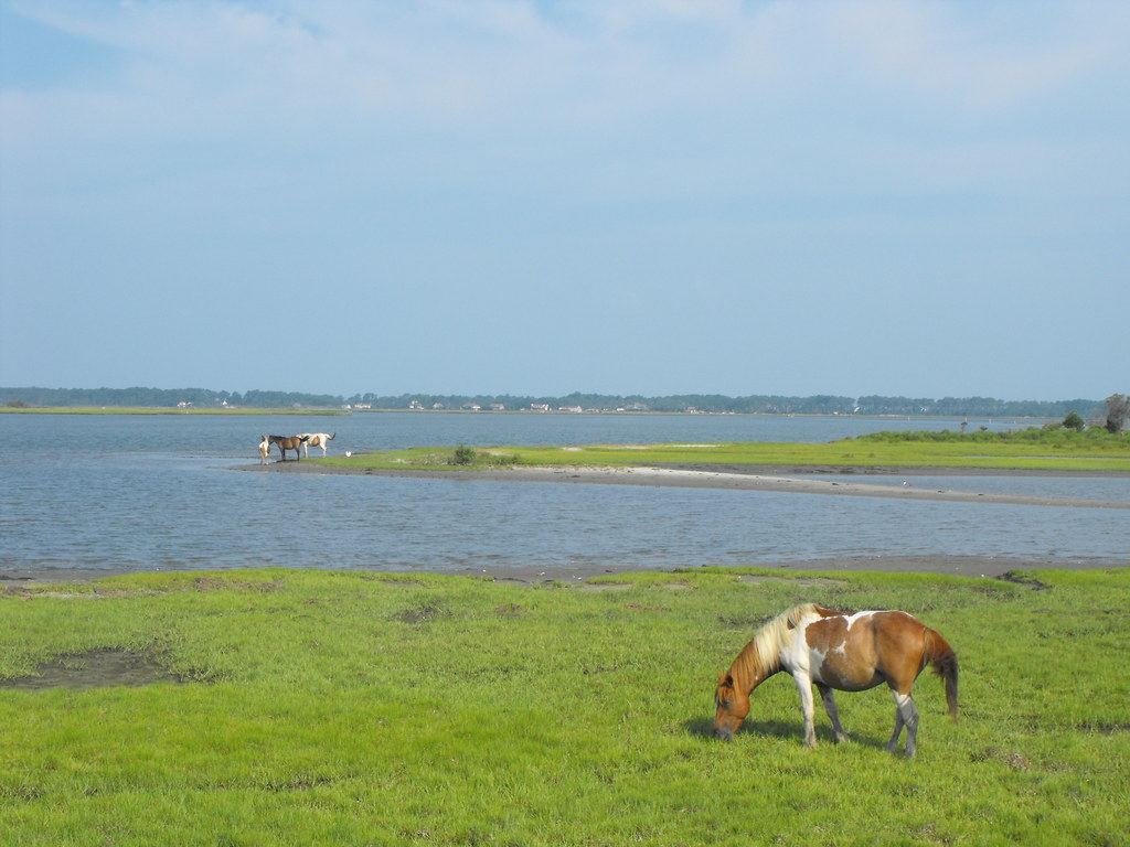 10 Best Places to Take Kids in Virginia: Fun and Family-Friendly Activities