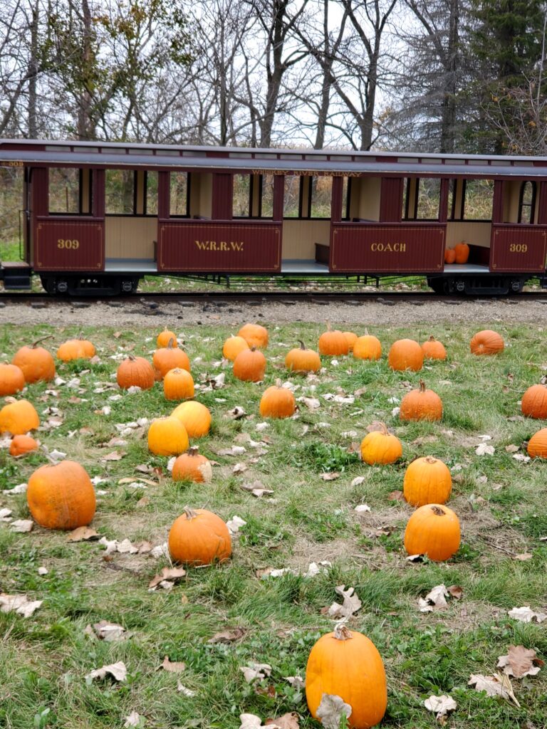 Top Amusement Parks in Wisconsin Little Amerricka Amusement Park