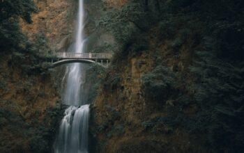 Best Places to Take Kids in Oregon Featured Image