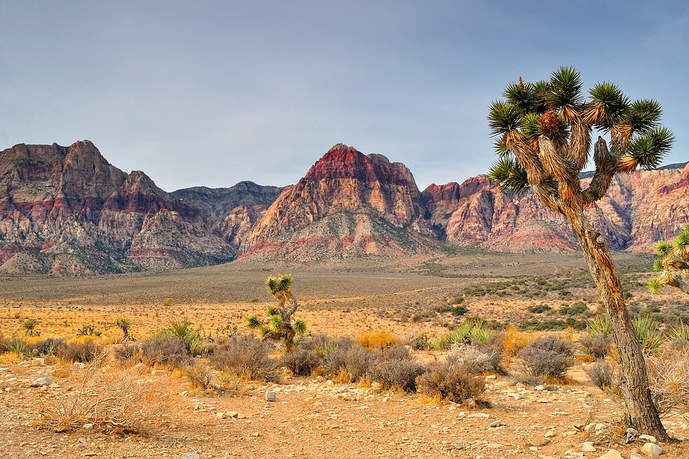 Red Rock Canyon