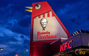 Roadside Attractions in Georgia Featured Image