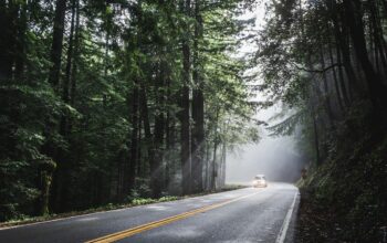 Must-See Road Trip Destinations on 6 Continents Featured Image