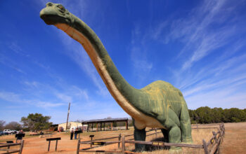 Best Day Trips from Dallas, Texas Featured Image