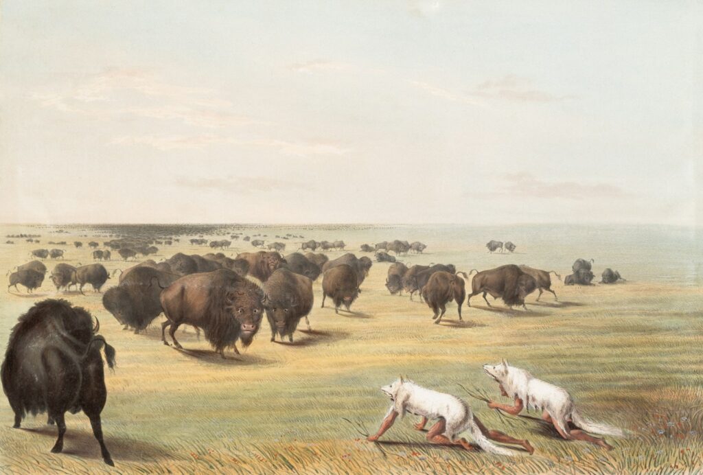 Interesting Museums in Wyoming National Museum of Wildlife Art