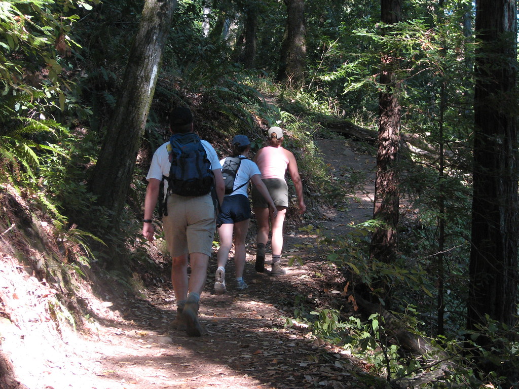 Waterfalls in Southern Wisconsin stay on the hiking trail