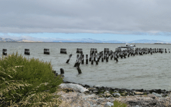 What is left of Port Chicago