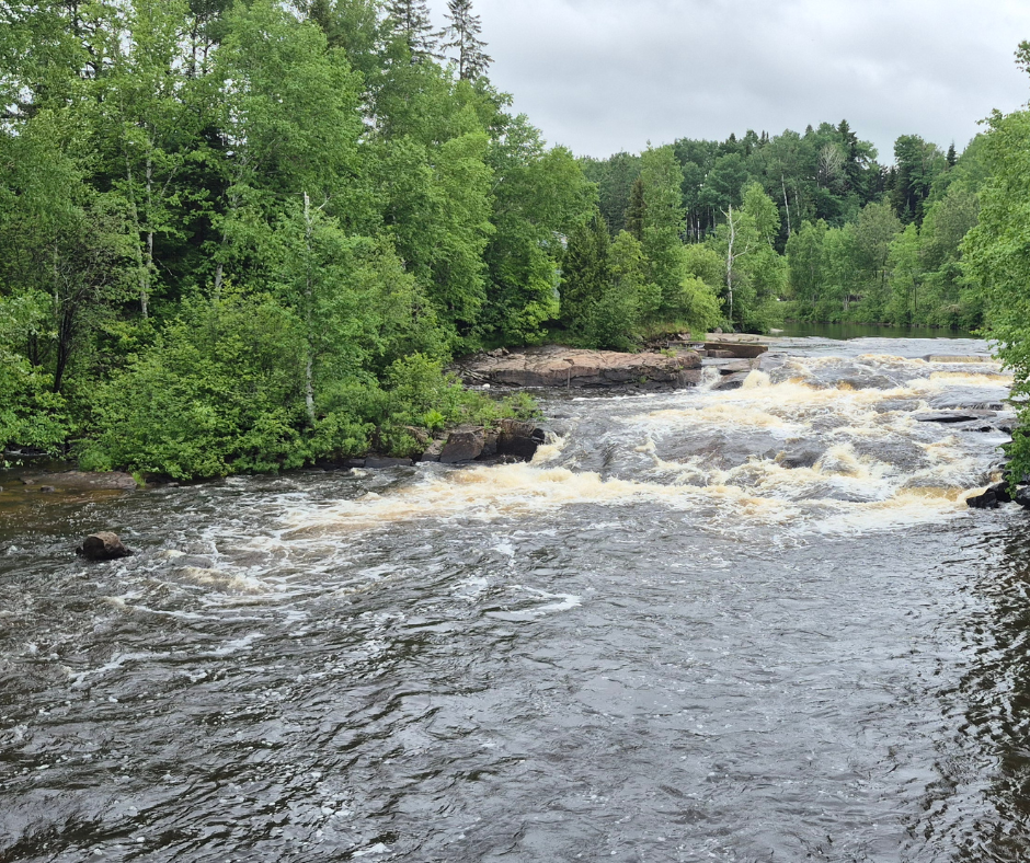 zoo savage naturescape