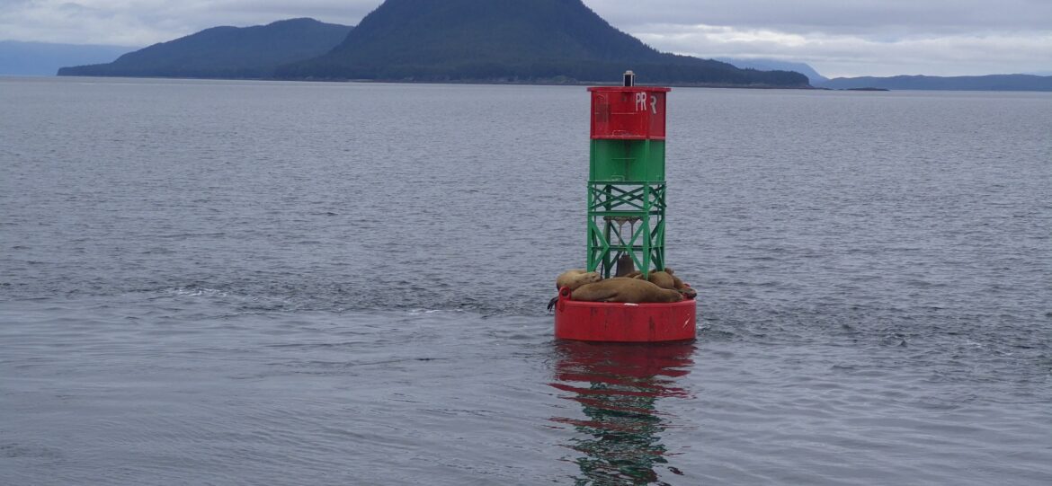 Juneau, Alaska: No Cruise Required