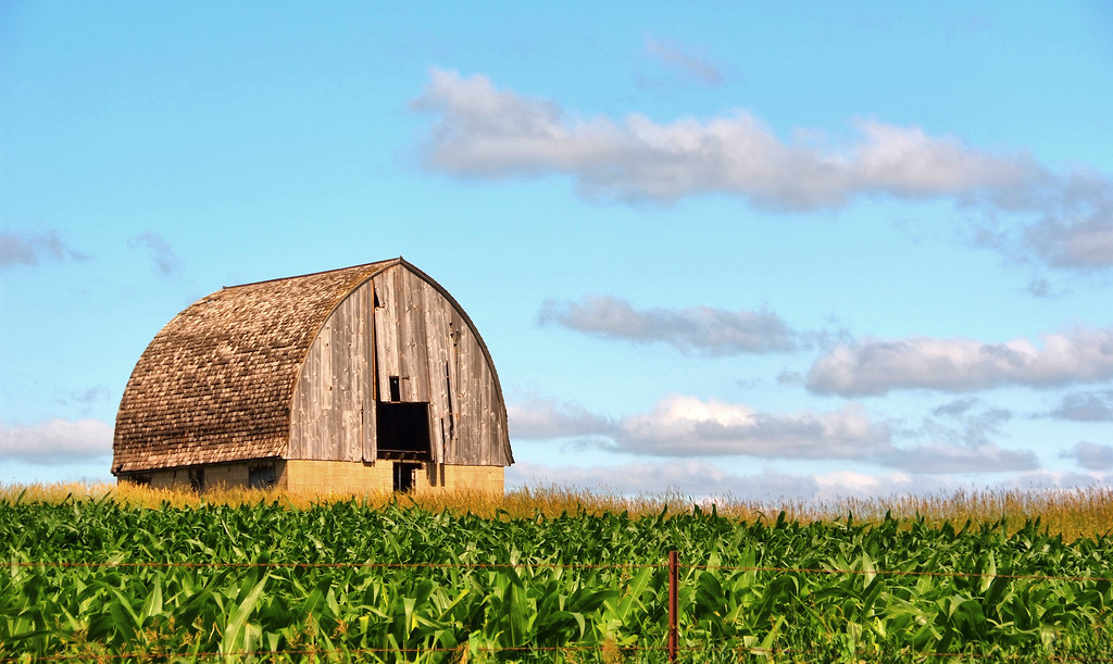 Iowa’s Best Year-Round Adventures: From Spring Festivals to Fall Foliage