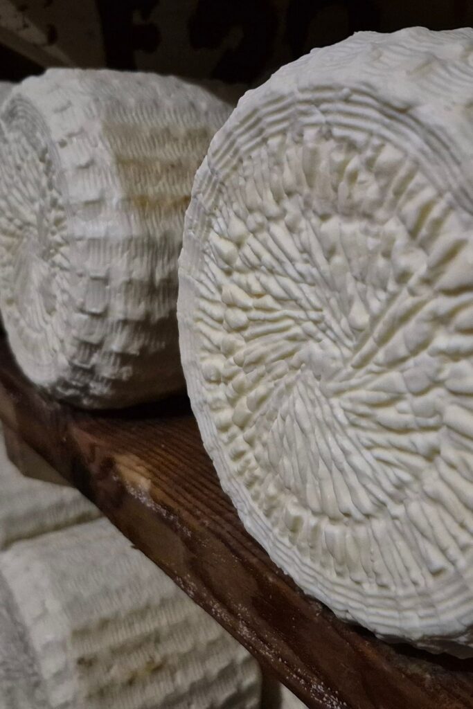 Groot Essa is known for their high-quality cheeses