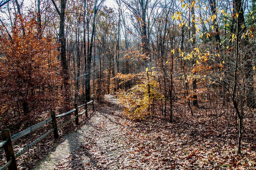 Hoosier National Forest