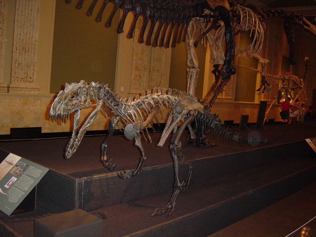 17 Fun Things To Do in Kenosha, Wisconsin: 2026 List Dinosaur Discovery Museum