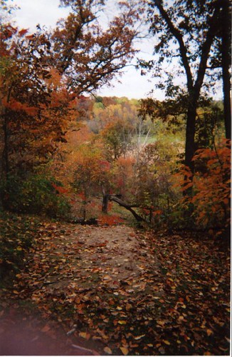 Justin Trails Resort