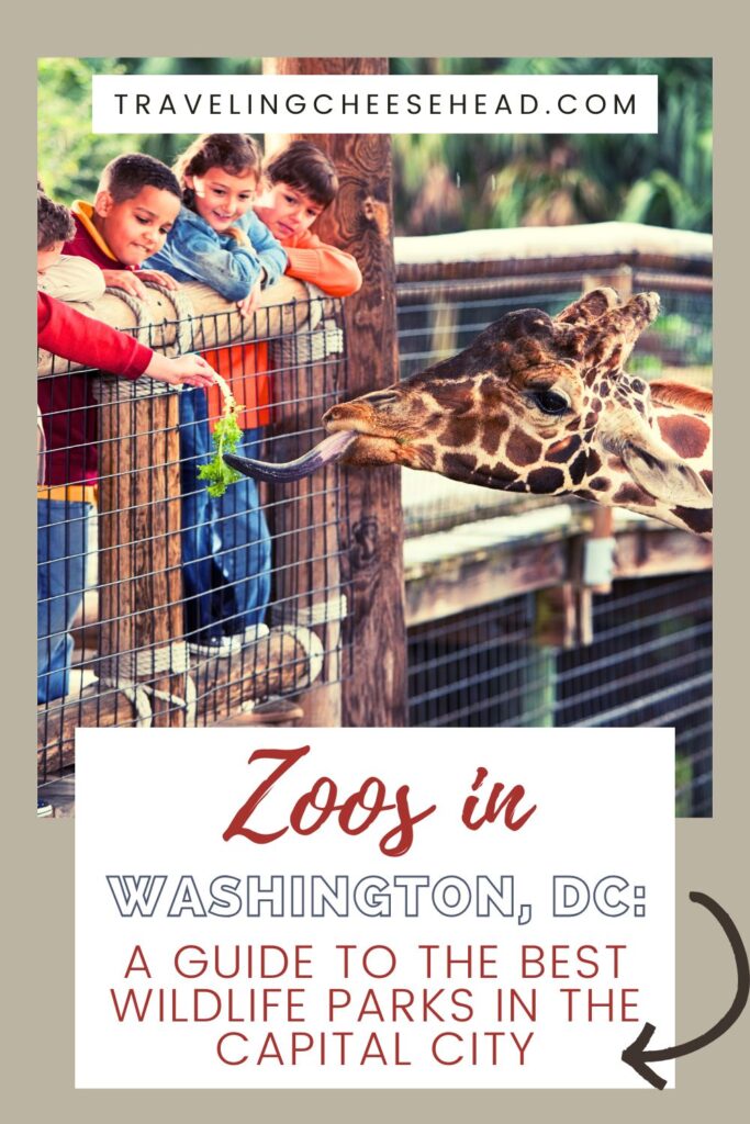 Zoos in Washington DC: A Guide to the Best Wildlife Parks in the Capital City Cover Image