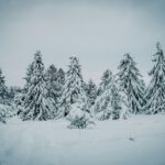 Winter in Wisconsin Dells: Where the Waterpark Capital Turns Snow Globe Featured Image