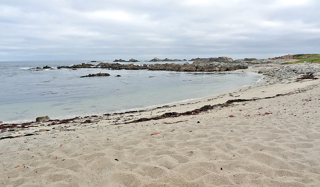 Asilomar State Beach
