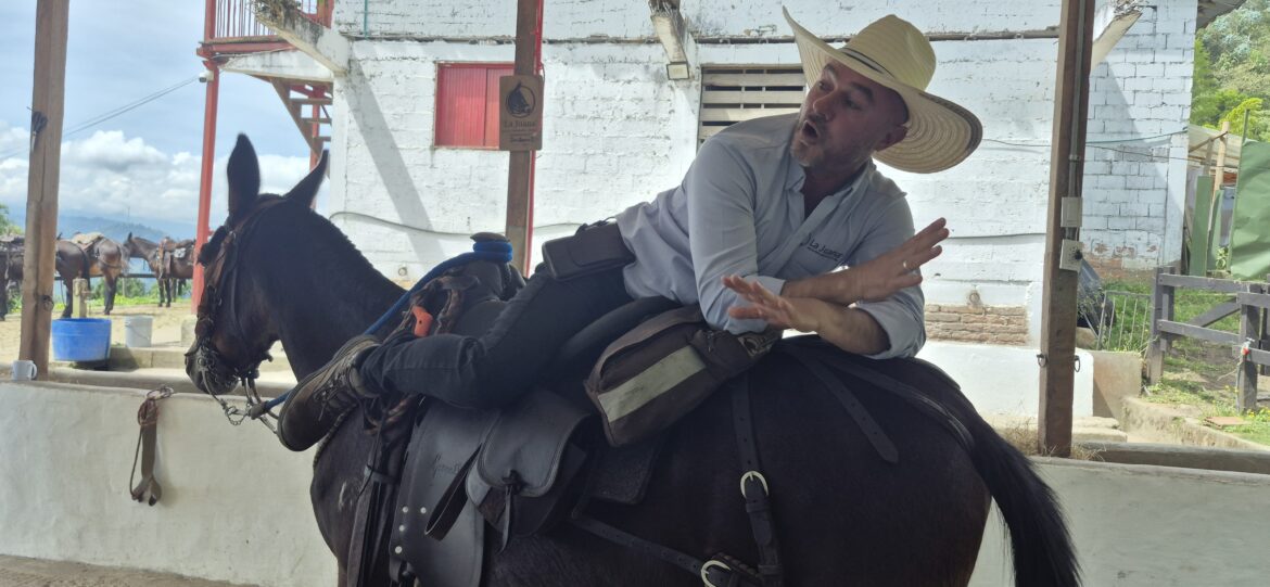 Riding Mules in Colombia: Trusting the Trail (and Almendra)