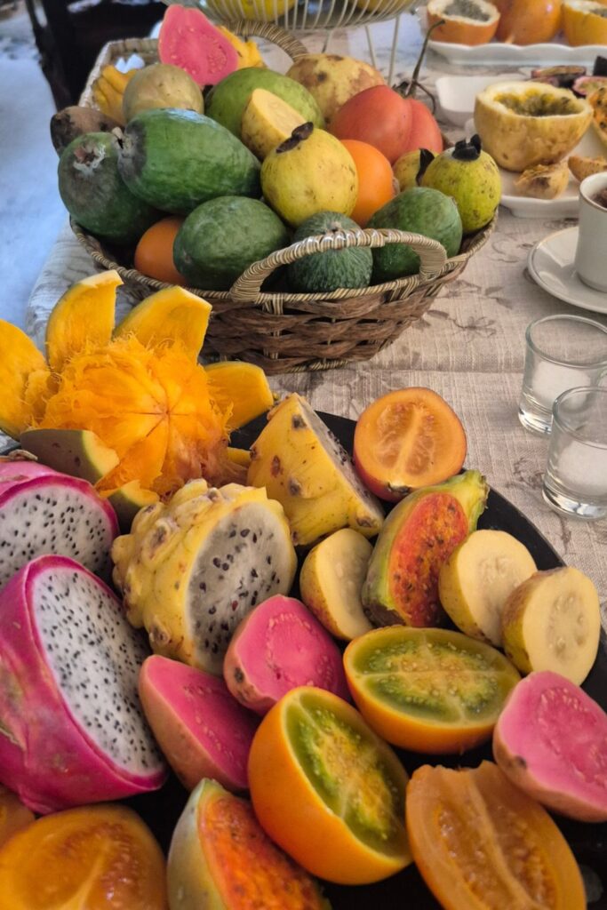 the fruit gave us knowledge about a new culture