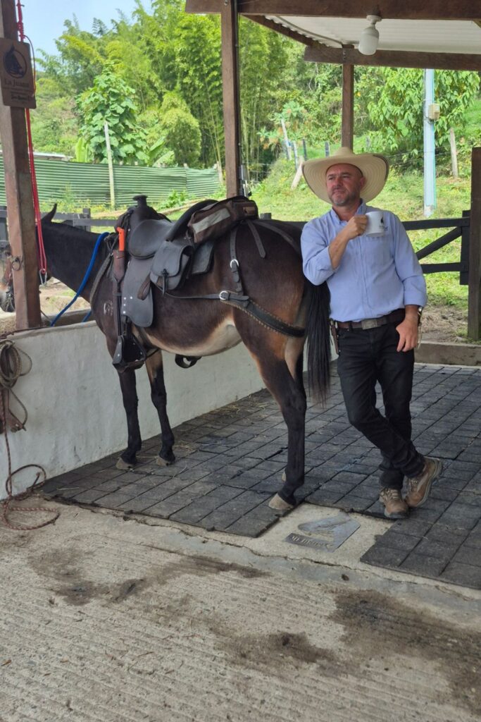Riding Mules in Colombia: Trusting the Trail (and Almendra) mules are beloved animals in Colombia