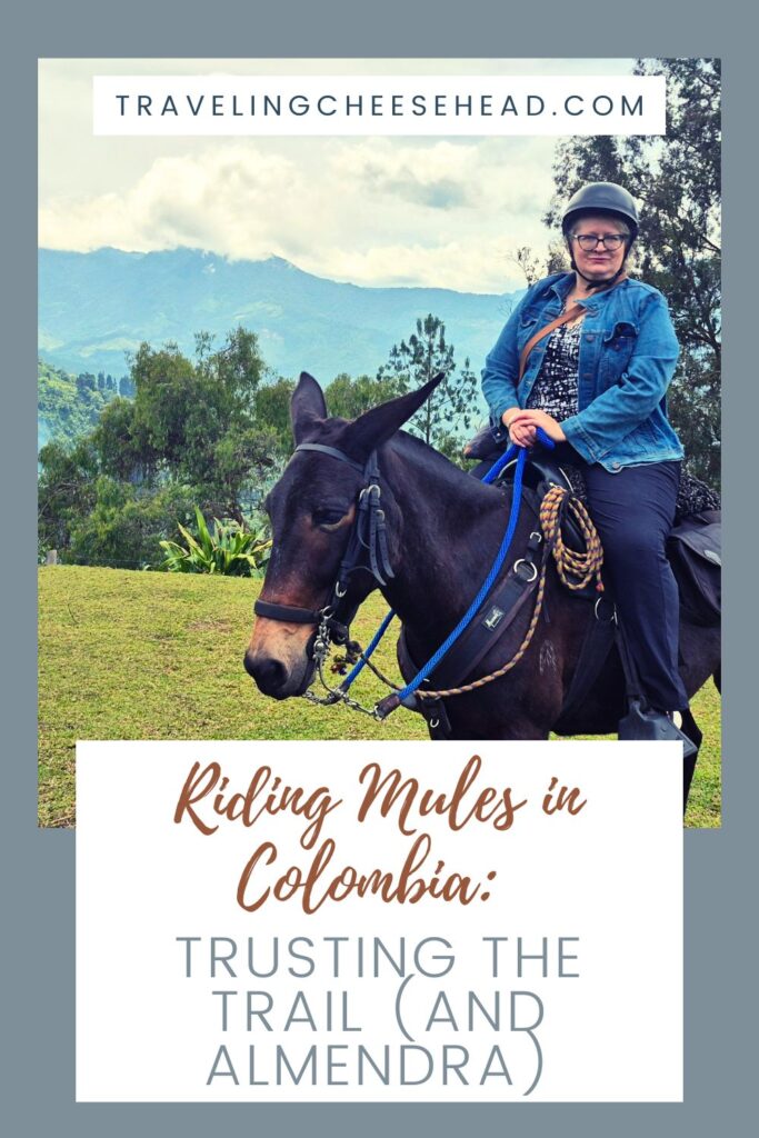 Riding Mules in Colombia: Trusting the Trail (and Almendra) Cover Image
